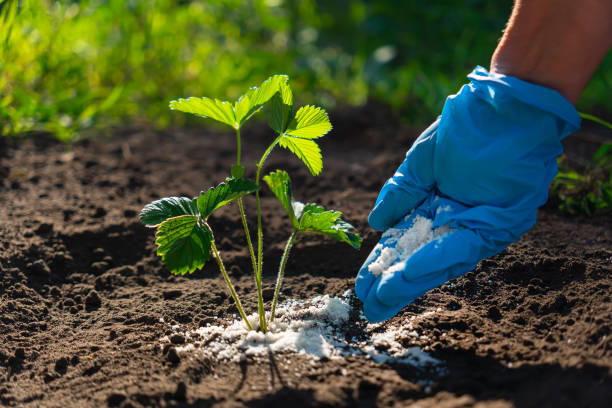 Fertilizer & More