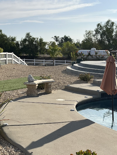 Poolside Landscaping
